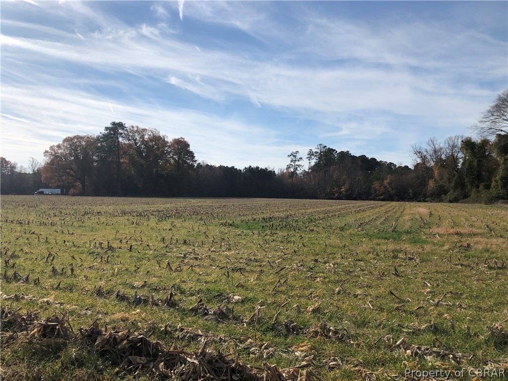 0 Myrtle Grove Lane Bohannon, VA 23021 - Photo 1 of 3 Myrtle Grove Lane 6 acres