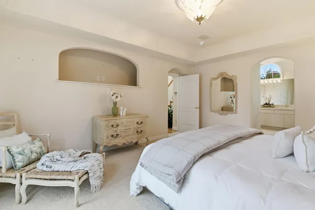 a view of a field with a tree