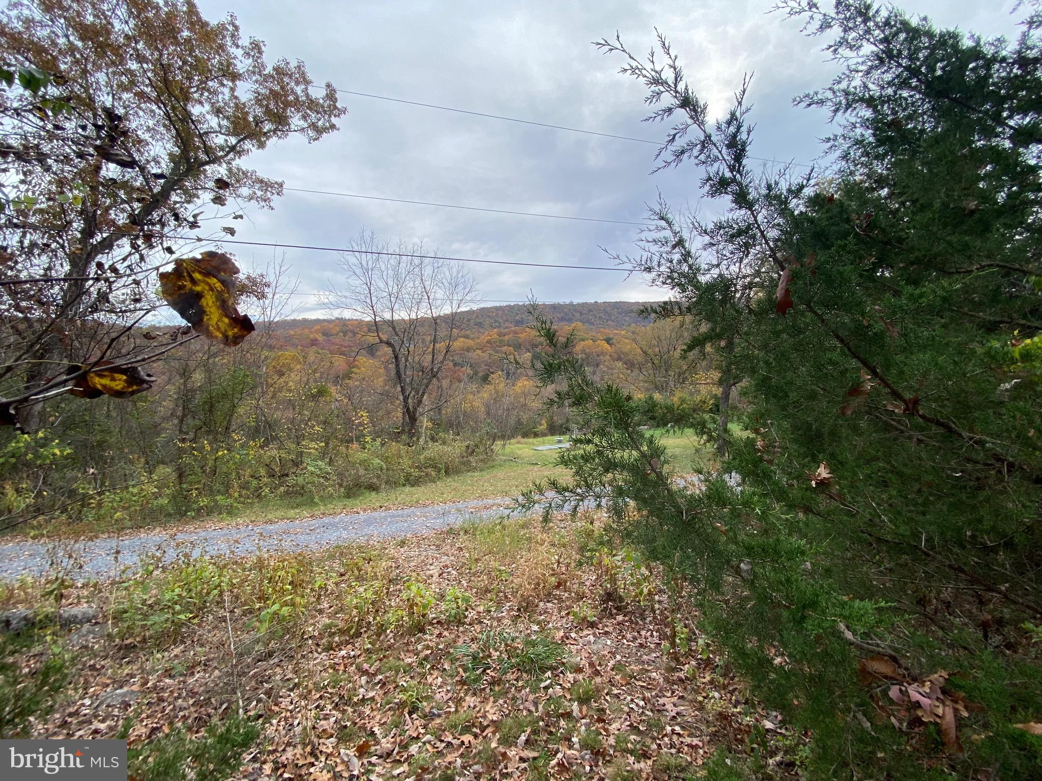 0 Old Cave Road Front Royal, VA 22630 - Photo 2 of 8 a view of yard
