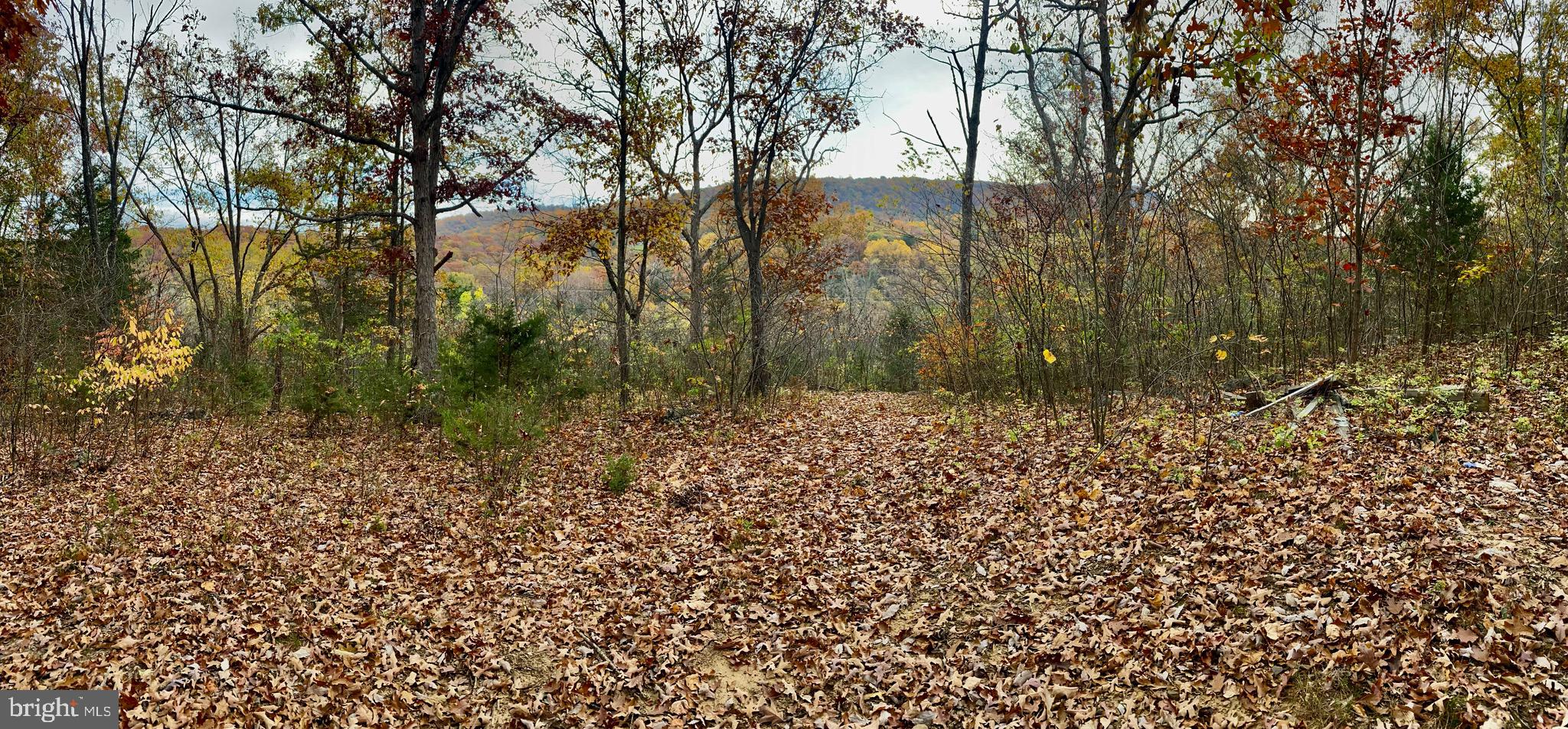 0 Old Cave Road Front Royal, VA 22630 - Photo 3 of 8 a view of a yard