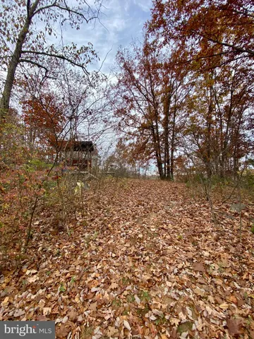 a view of a yard with large trees