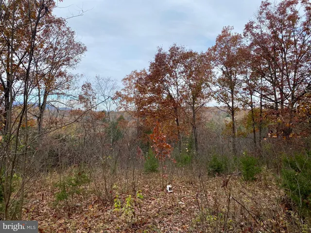 $50,000 | 0 Old Cave Road, Front Royal, VA 22630