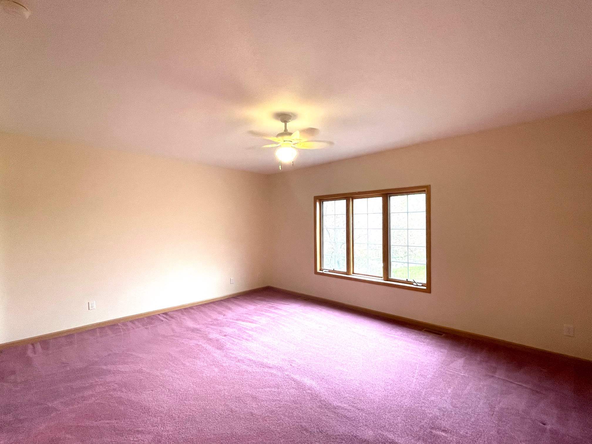 6004 Hollopeter Road Leo, IN 46765 - Photo 25 of 36 Gallery Image 25