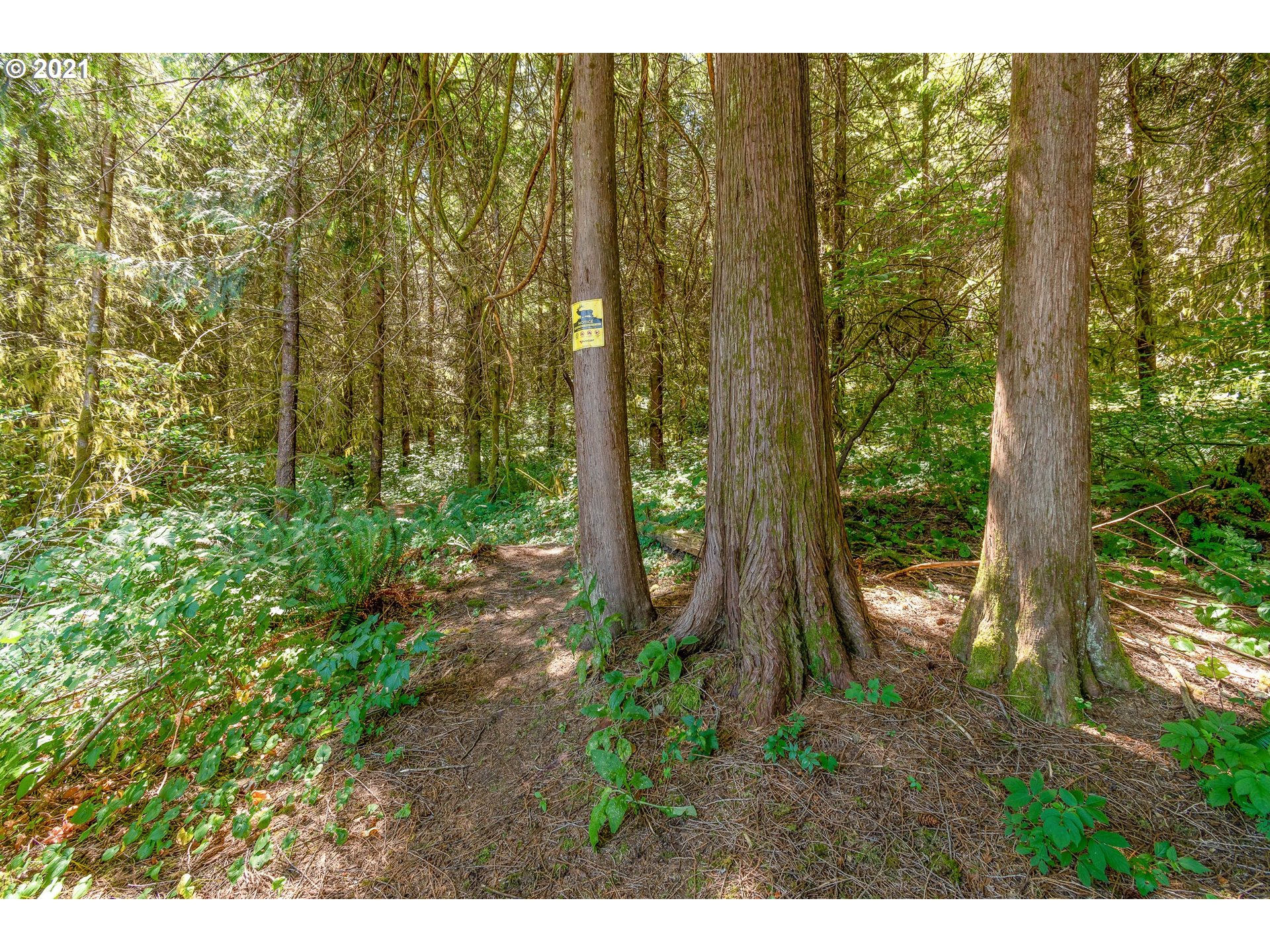 7853 Lewis River Road Ariel, WA 98603 - Photo 11 of 32 Gallery Image 11