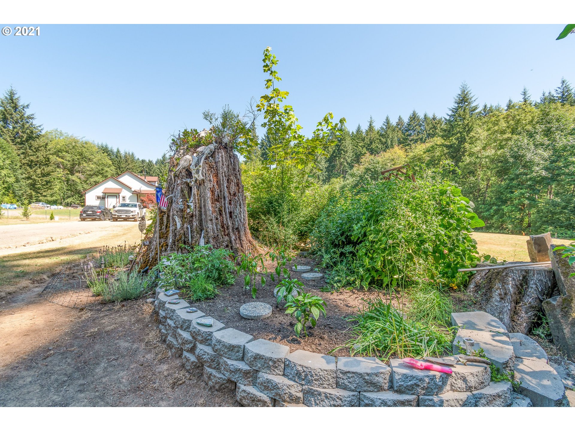 7853 Lewis River Road Ariel, WA 98603 - Photo 8 of 32 Gallery Image 8