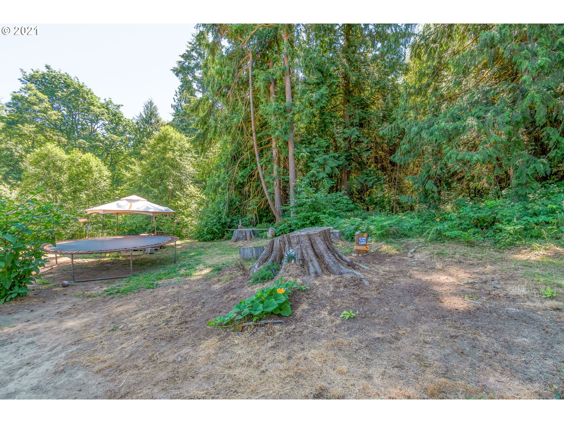7853 Lewis River Road Ariel, WA 98603 - Photo 9 of 32 Gallery Image 9