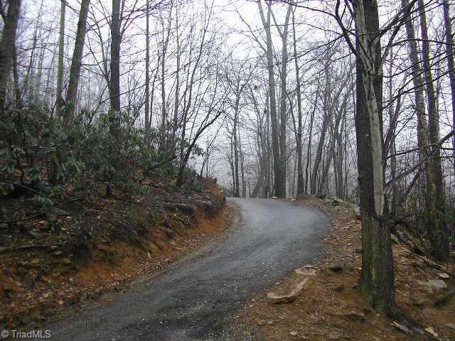 1524 White Rock Road Boone, NC 28645 - Photo 3 of 7 Other. Private Road