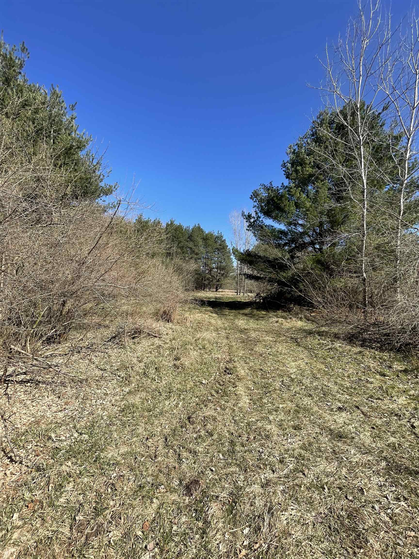 Tbd South Tbd S Fenmore Road Merrill, MI 48637 - Photo 3 of 19
