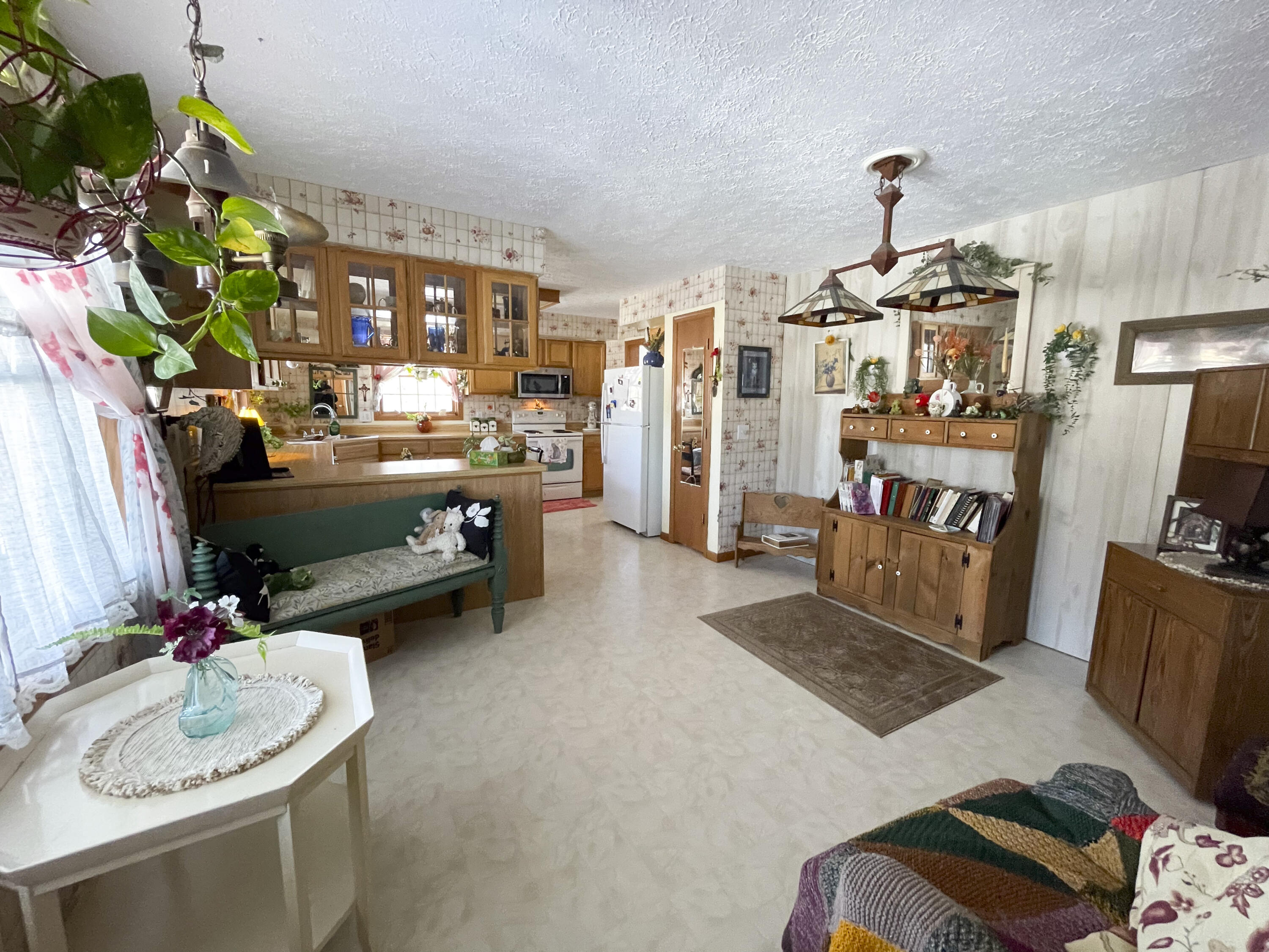 13631 Bemis Road Manchester, MI 48158 - Photo 4 of 33 Living Room