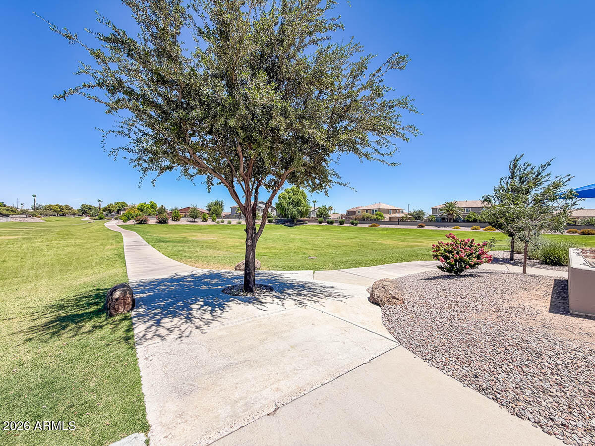 3680 South Joshua Tree Lane Gilbert, AZ 85297 - Photo 58 of 63 Common area