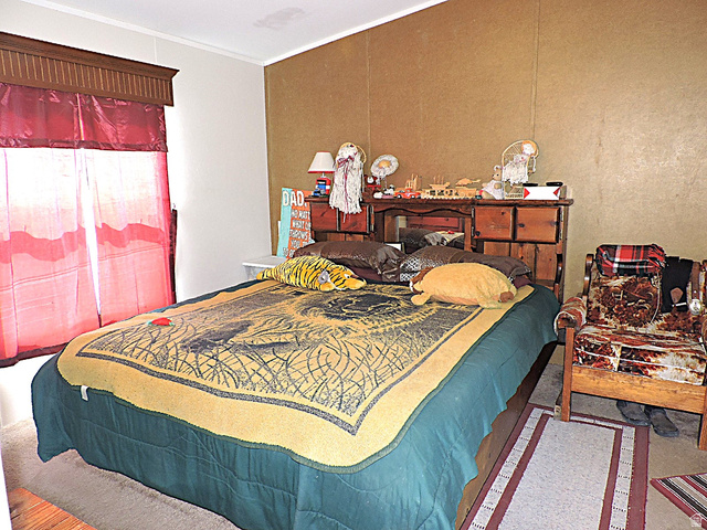 915 North 5000 W Road Hinckley, UT 84635 - Photo 12 of 27 Primary bedroom