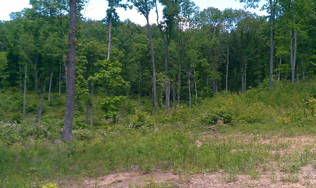 3745 Whaleytown Road Jackson, OH 45640 - Photo 3 of 9