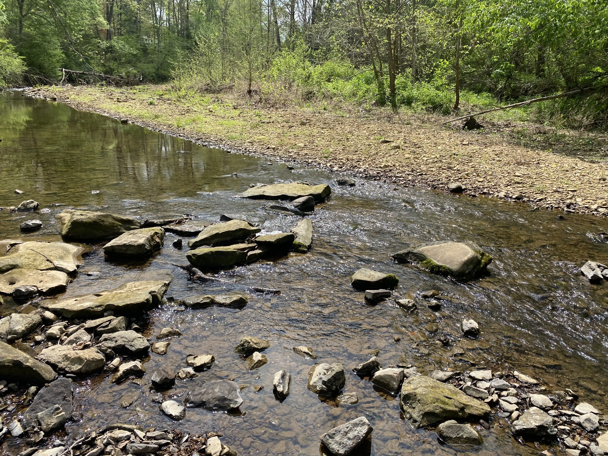 2874 Distillery Road Greenbrier, TN 37073 - Photo 22 of 26