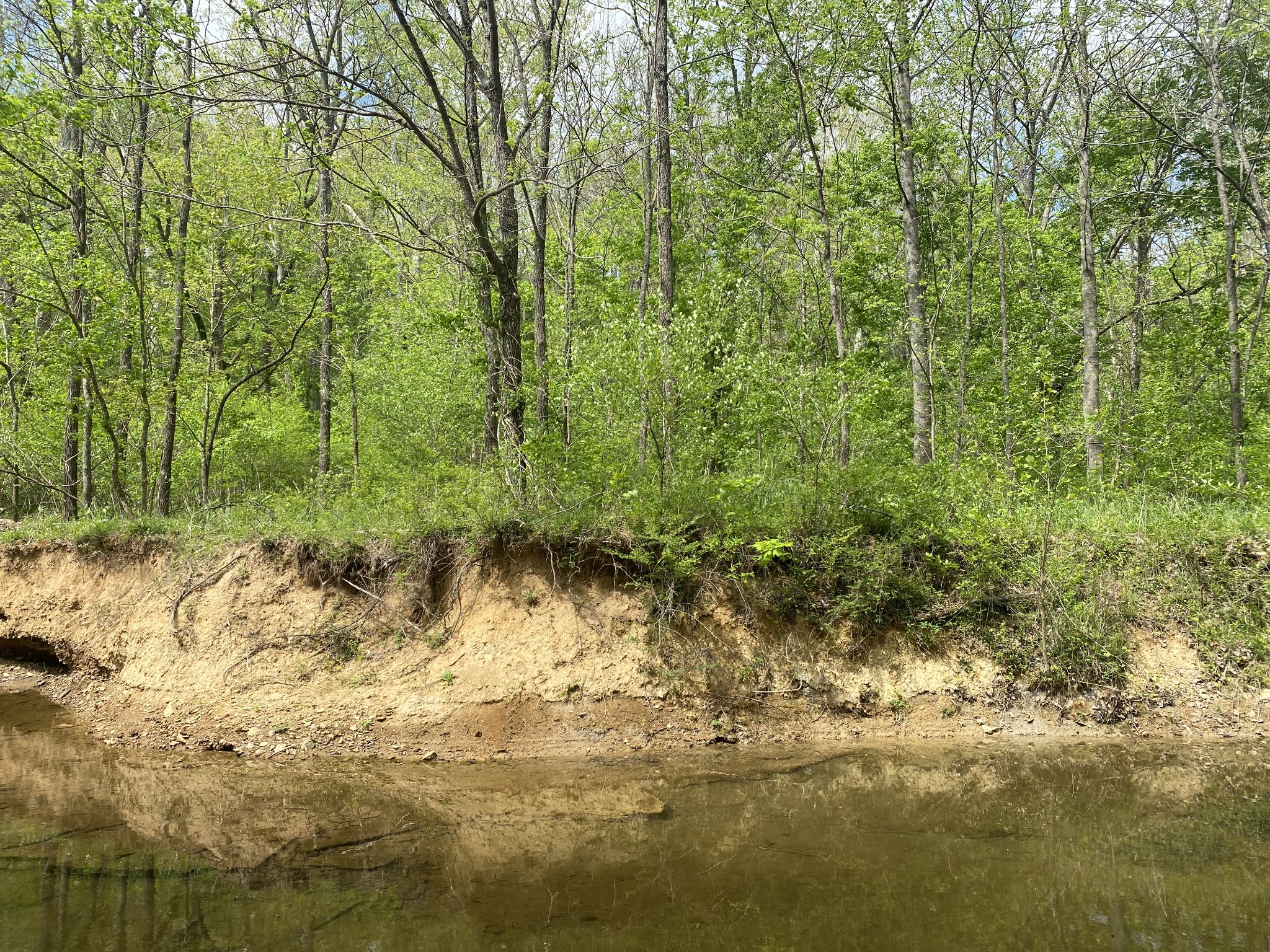 2874 Distillery Road Greenbrier, TN 37073 - Photo 24 of 26