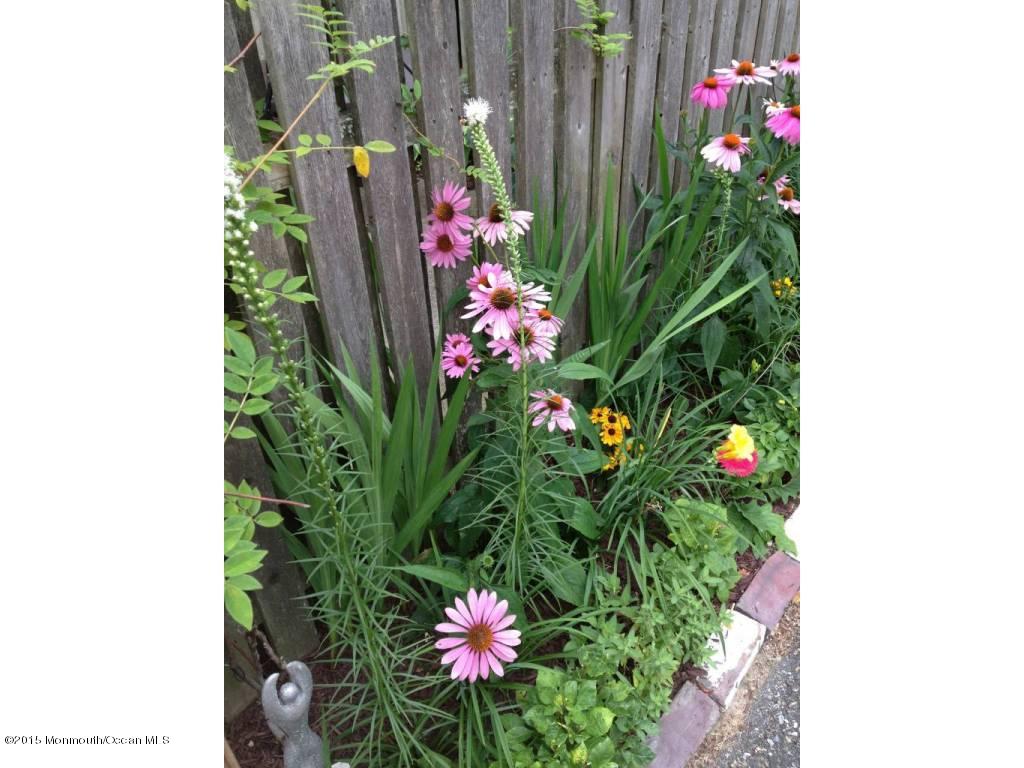 1516 Dorset Dock Road Point Pleasant, NJ 08742 - Photo 28 of 36 28-Garden