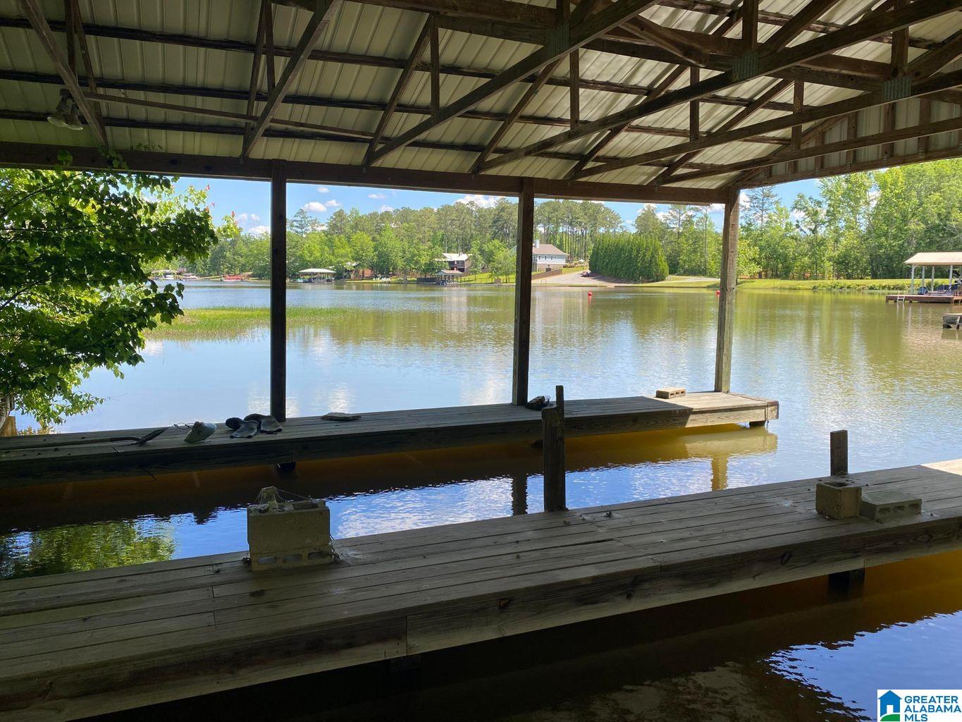 254 Lake Ridge Drive Jacksons Gap, AL 36861 - Photo 1 of 1