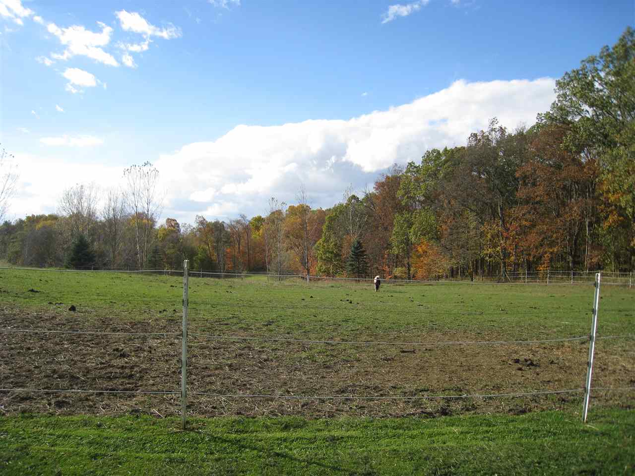 2015 Southwest Fox Lake Road Angola, IN 46703 - Photo 33 of 33
