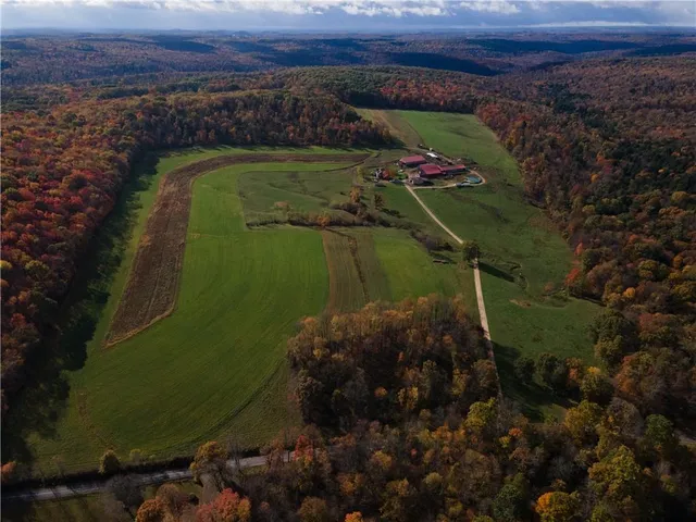 a view of a bird area