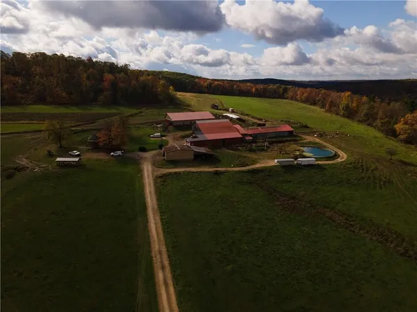 a view of a garden from a balcony