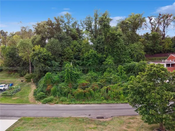 a view of yard with green space