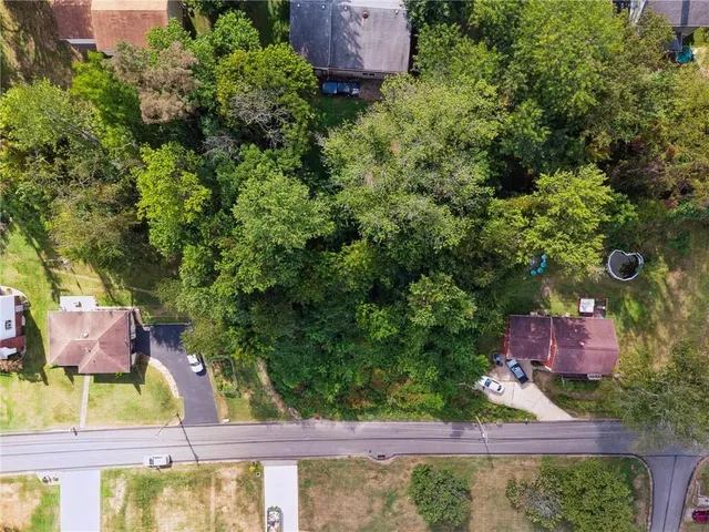 a view of a yard from a window