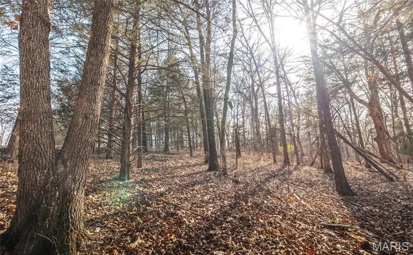 $180,000 | 0 County Road 810, Linn, MO 65051