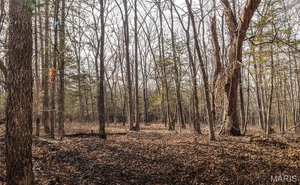 $180,000 | 0 County Road 810, Linn, MO 65051