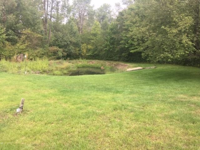 5611 Ritchie Run Cedar Springs, MI 49319 - Photo 37 of 38 IMG_1870