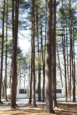 3 Old Conant Road Lincoln, MA 01773 - Photo 22 of 22 a view of a house with a tree in front of it