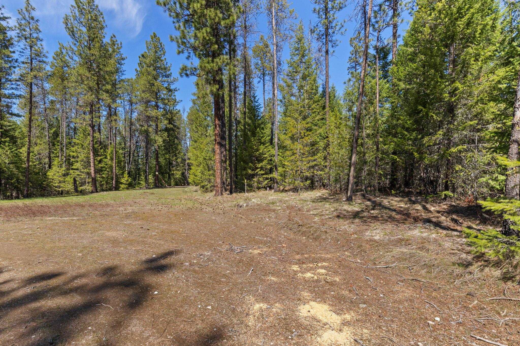 3792 East Jump Off Road Valley, WA 99181 - Photo 11 of 17