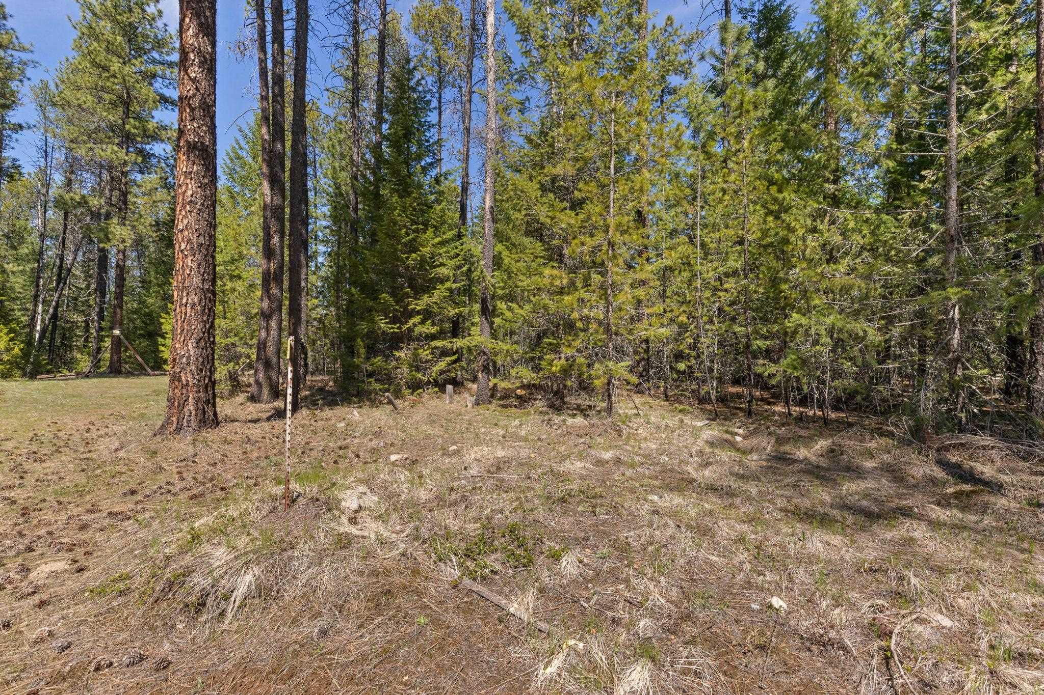 3792 East Jump Off Road Valley, WA 99181 - Photo 12 of 17