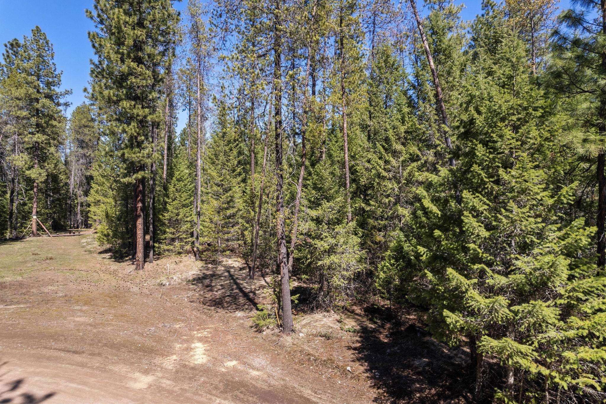 3792 East Jump Off Road Valley, WA 99181 - Photo 13 of 17
