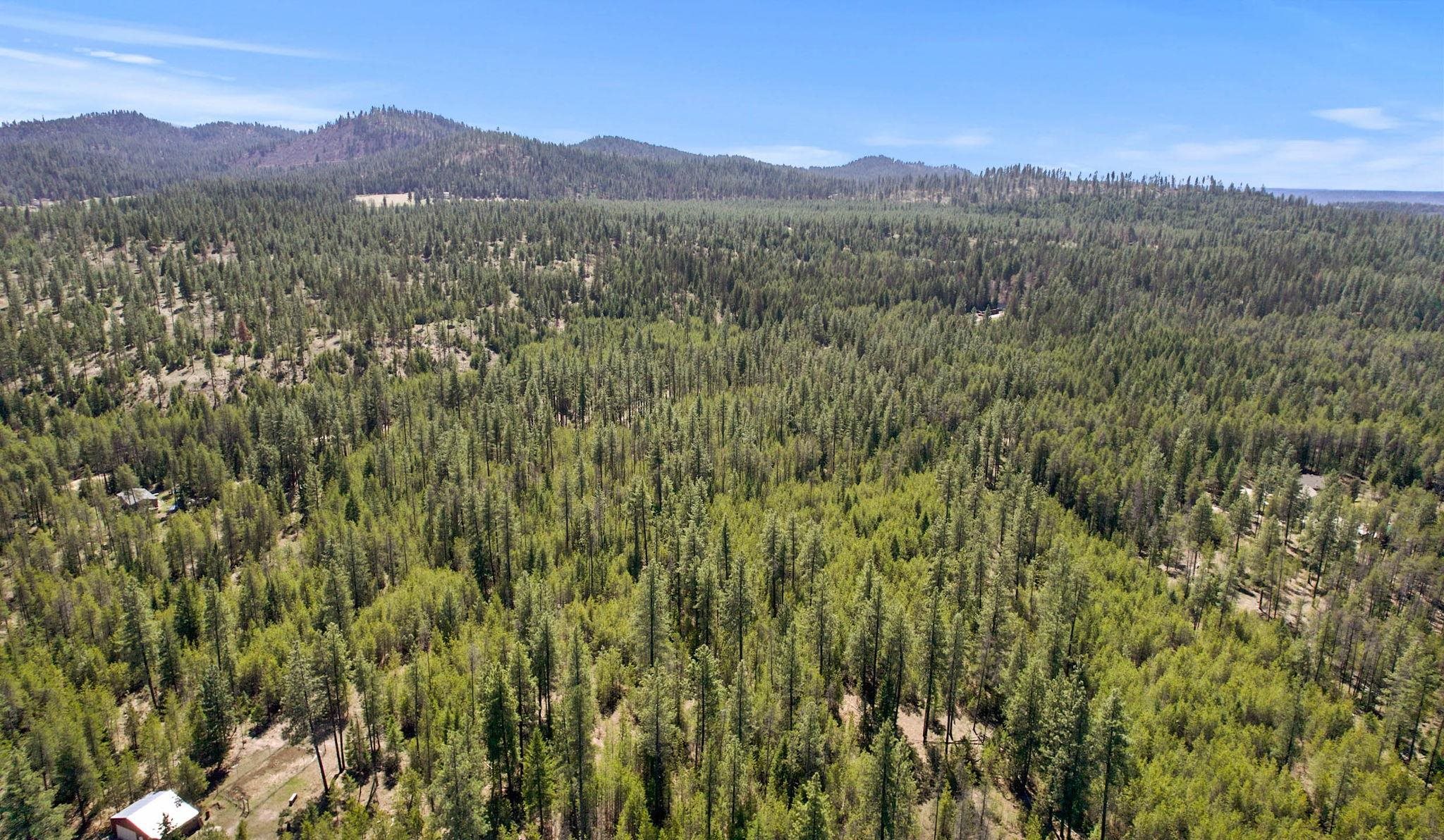 3792 East Jump Off Road Valley, WA 99181 - Photo 15 of 17