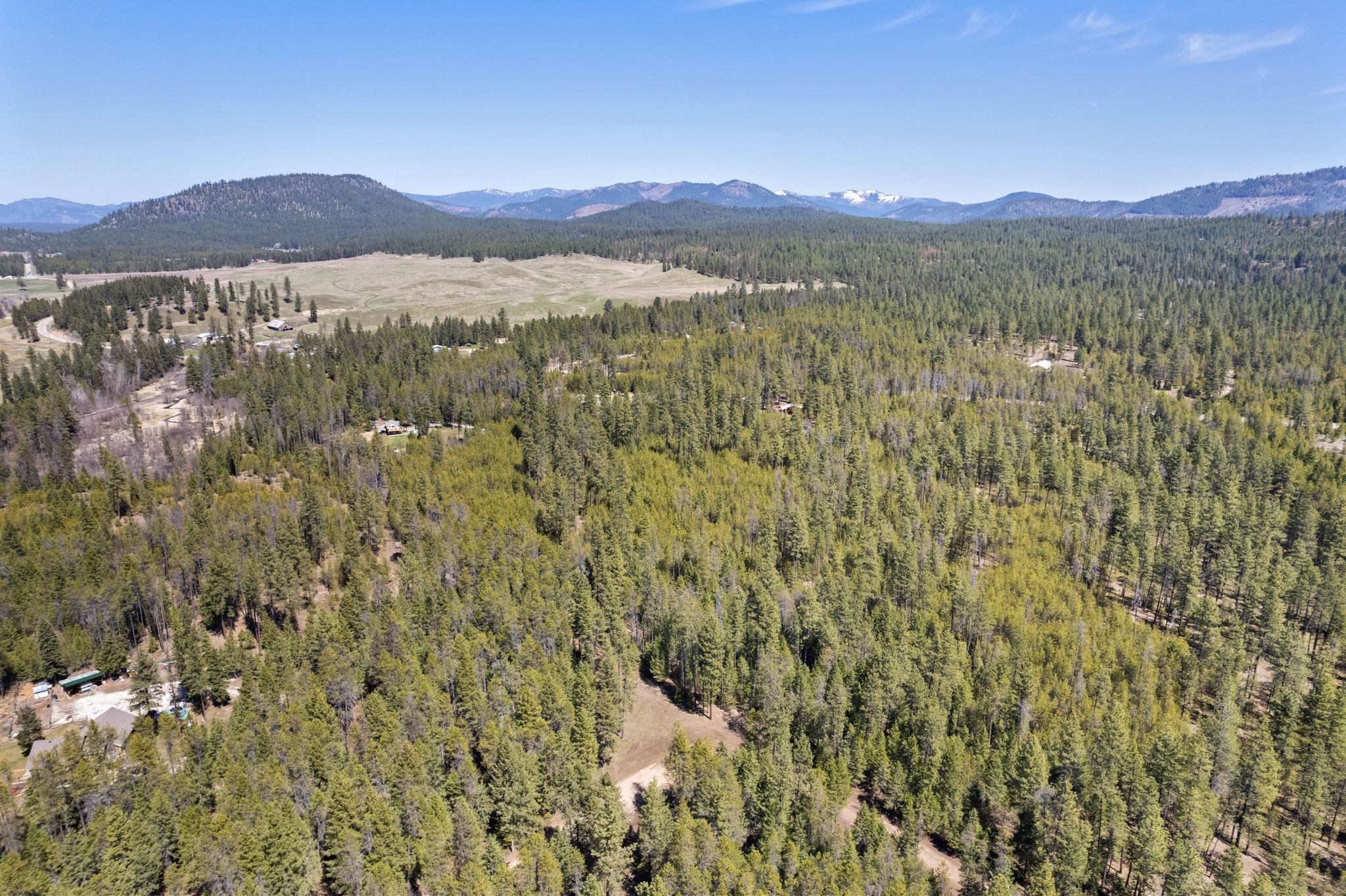 3792 East Jump Off Road Valley, WA 99181 - Photo 16 of 17