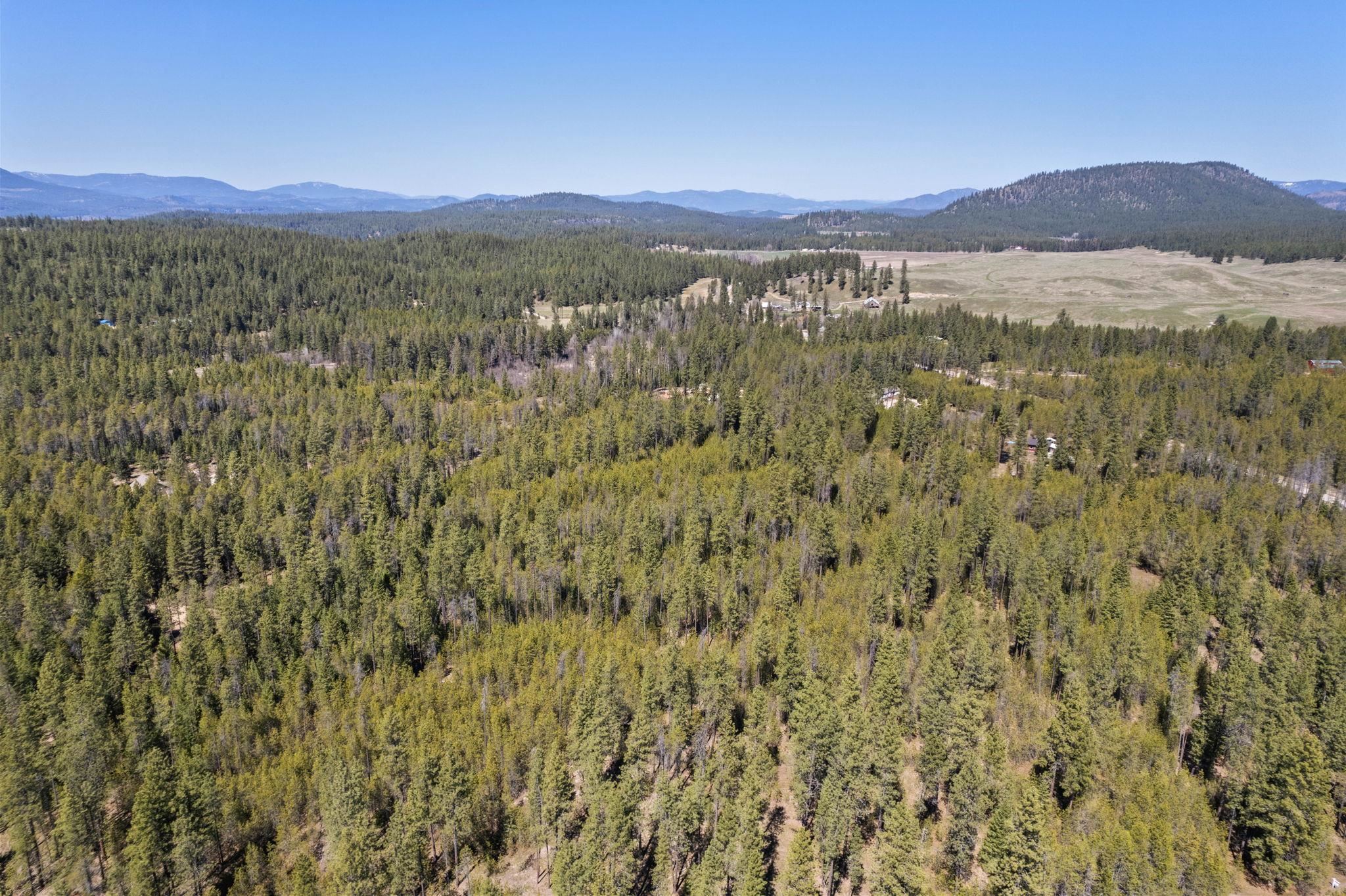 3792 East Jump Off Road Valley, WA 99181 - Photo 17 of 17