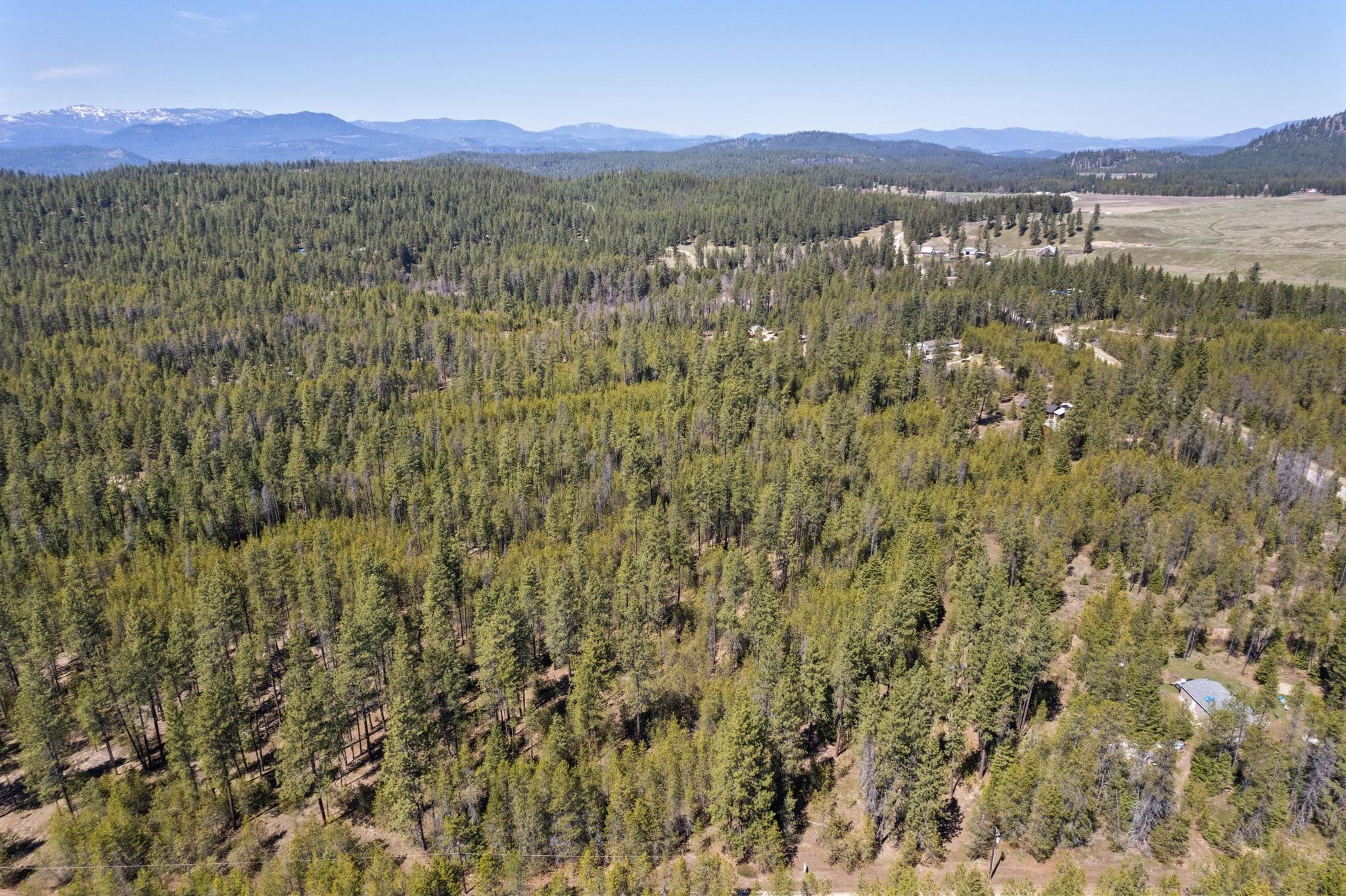 3792 East Jump Off Road Valley, WA 99181 - Photo 4 of 17