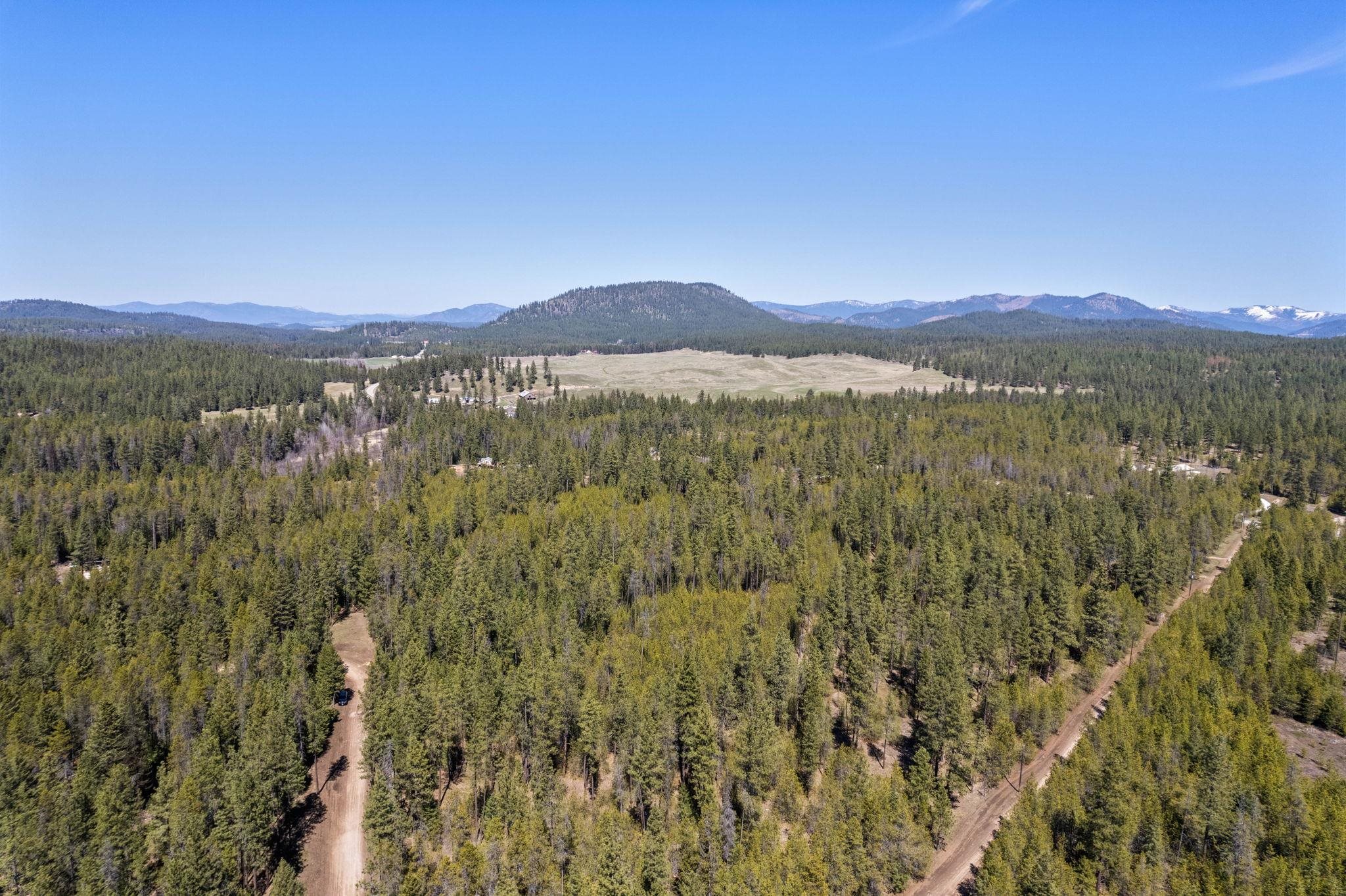3792 East Jump Off Road Valley, WA 99181 - Photo 5 of 17
