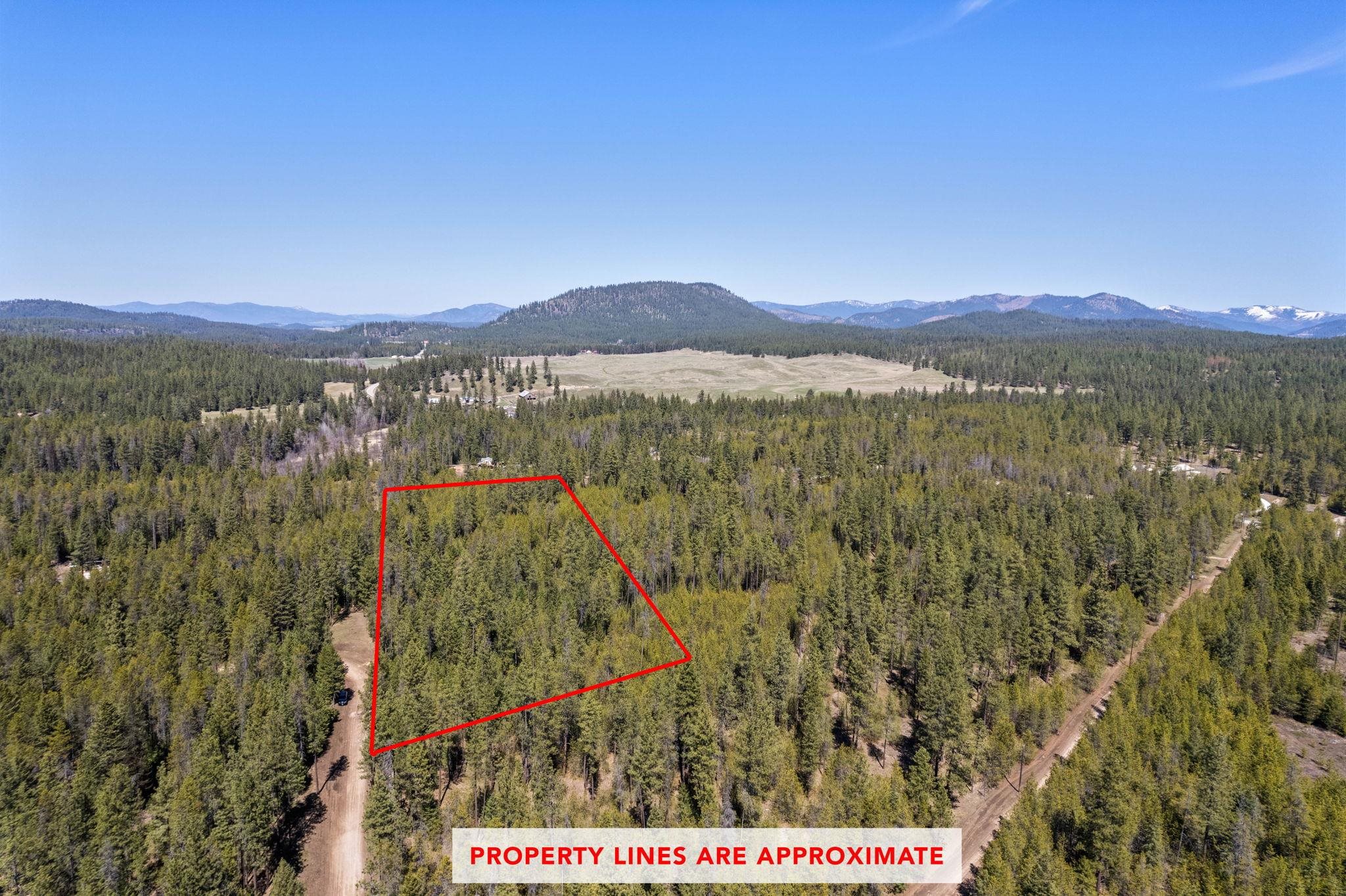 3792 East Jump Off Road Valley, WA 99181 - Photo 7 of 17