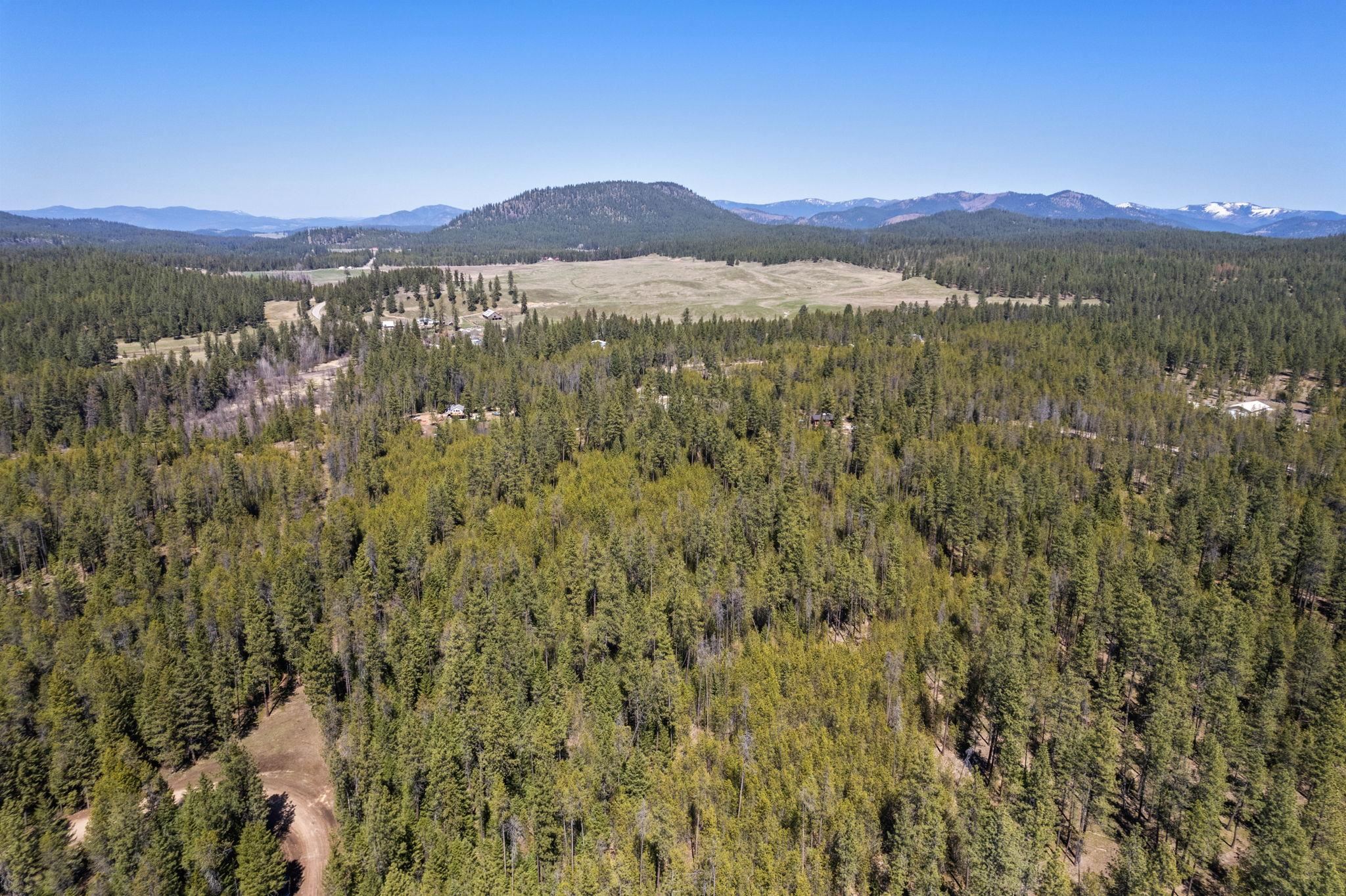 3792 East Jump Off Road Valley, WA 99181 - Photo 8 of 17