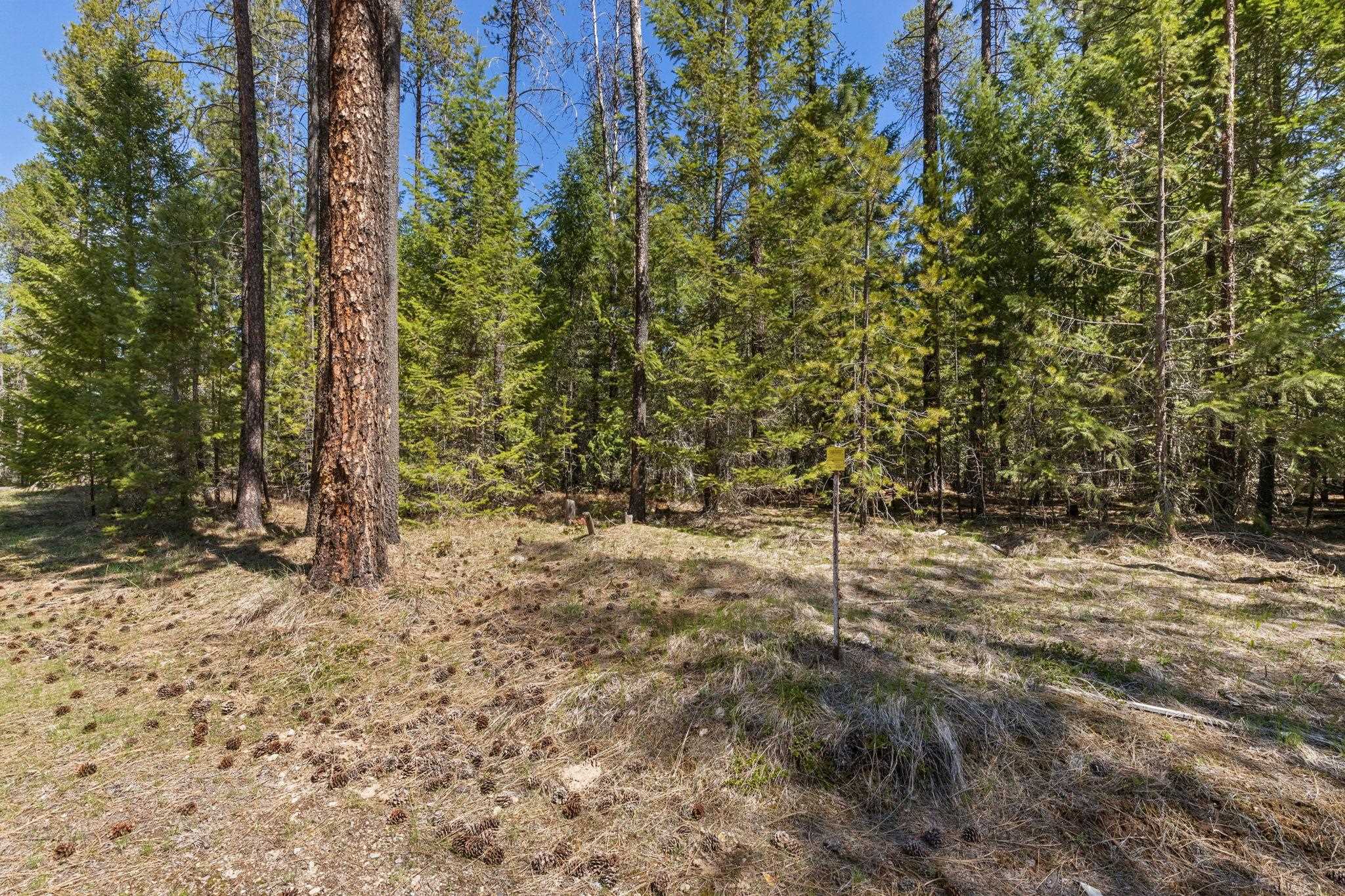 3792 East Jump Off Road Valley, WA 99181 - Photo 9 of 17