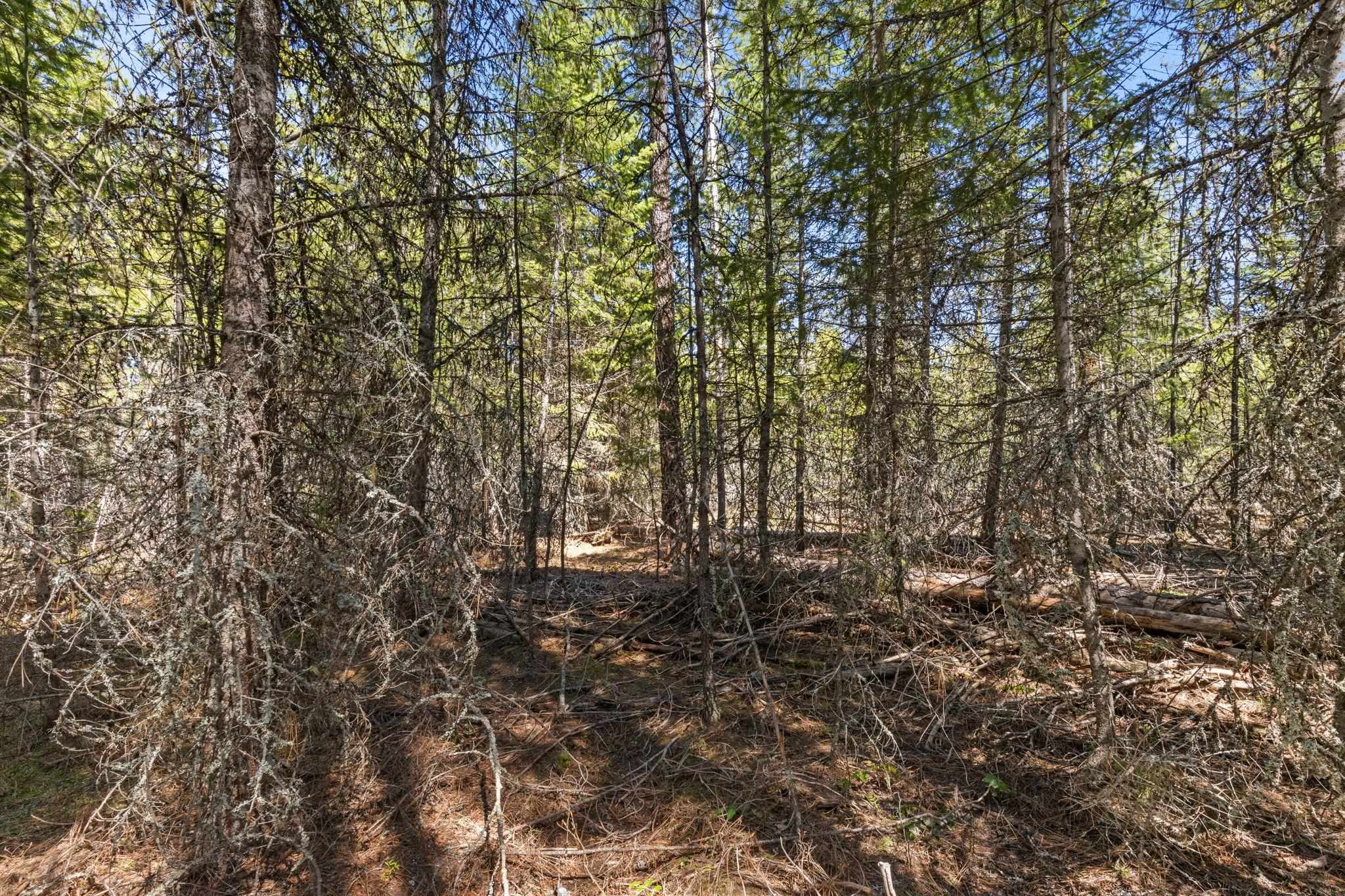 3792 East Jump Off Road Valley, WA 99181 - Photo 10 of 17