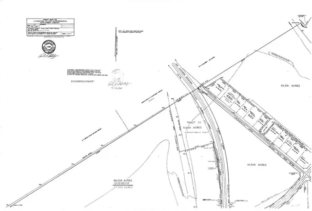 a view of yard with flowers and trees