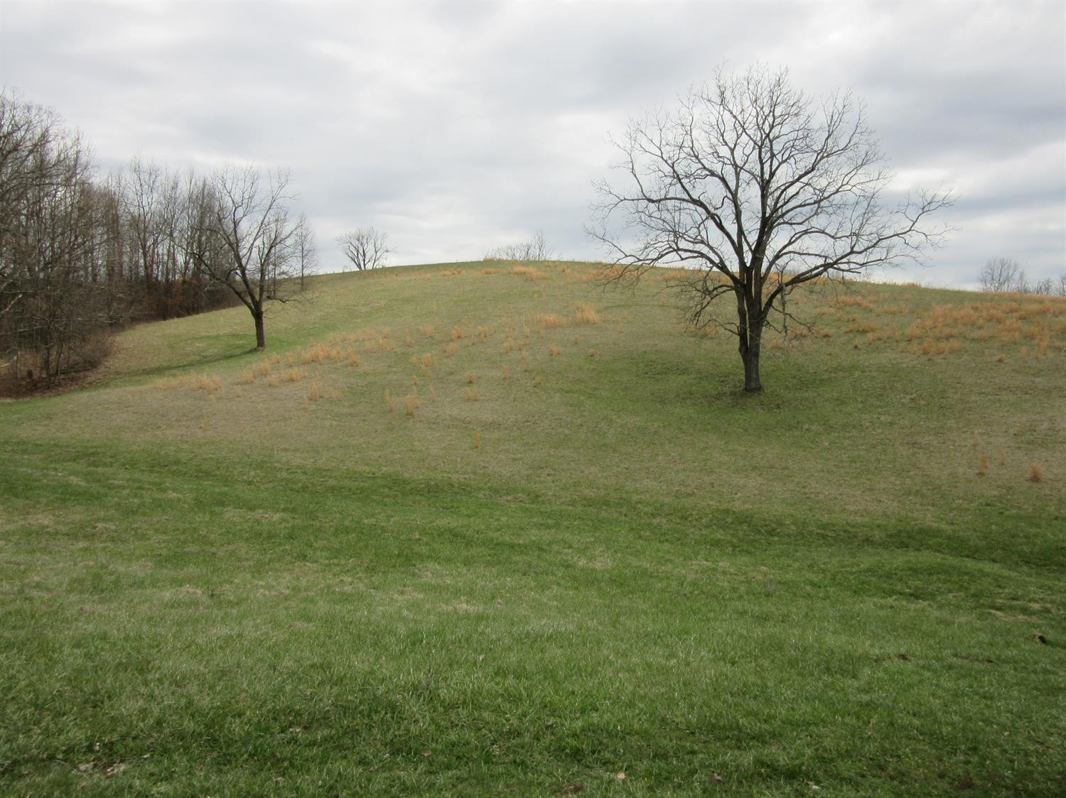 4885 Owenton Road Stamping Ground, KY 40379 - Photo 69 of 69 Photo 69