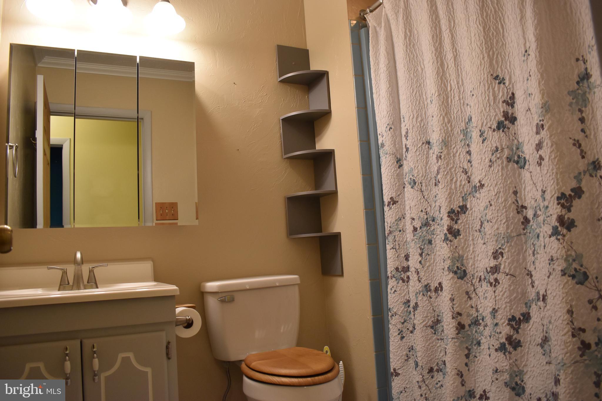 211 Lake Ridge Road Strasburg, VA 22657 - Photo 16 of 27 Hall bathroom