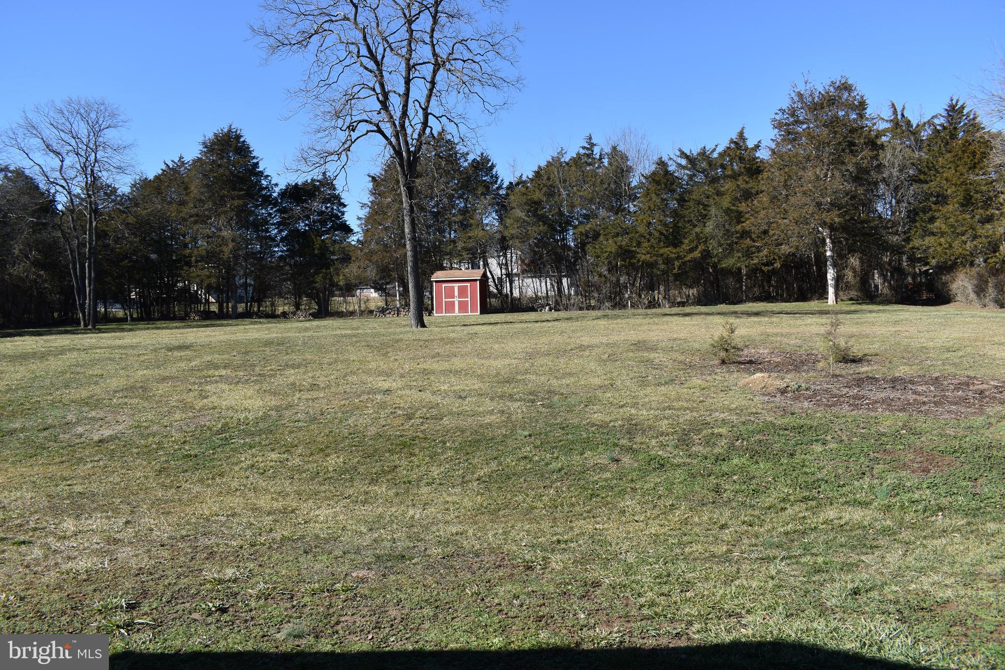 211 Lake Ridge Road Strasburg, VA 22657 - Photo 24 of 27 Back yard with additional storage shed