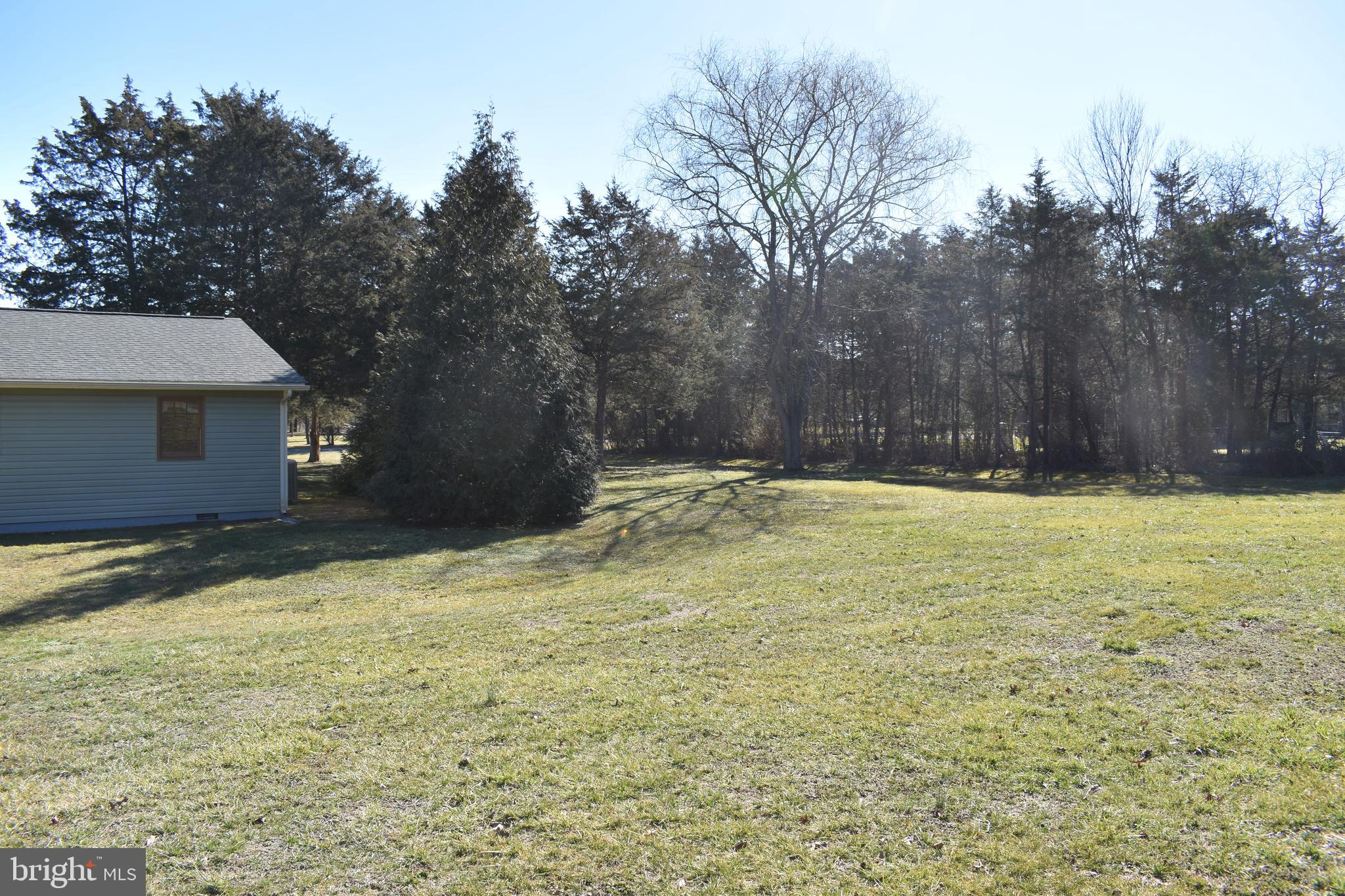 211 Lake Ridge Road Strasburg, VA 22657 - Photo 26 of 27 Side yard