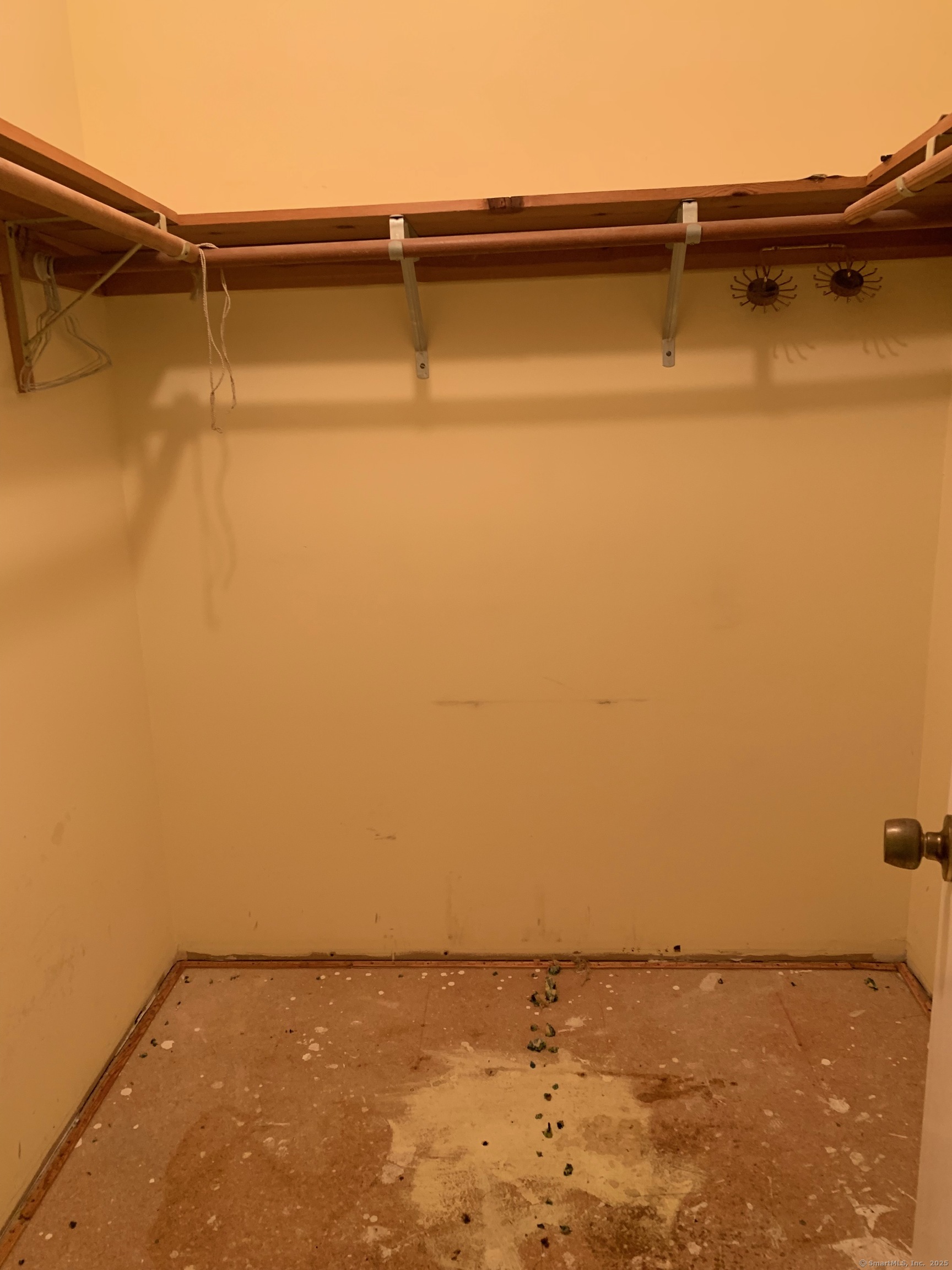 99 Obtuse Hill Road Brookfield, CT 06804 - Photo 29 of 31 a view of a walk in closet