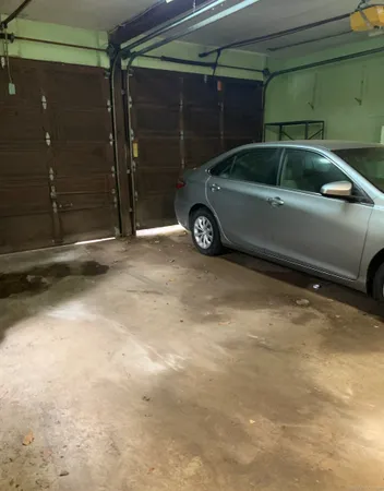 a view of a yard with plants and a trees