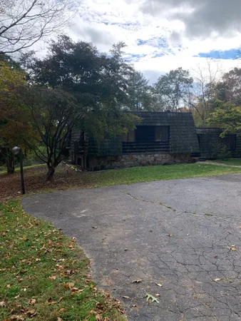 a view of a yard and car parked