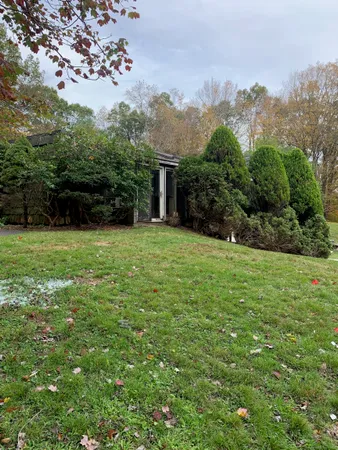 a view of a backyard